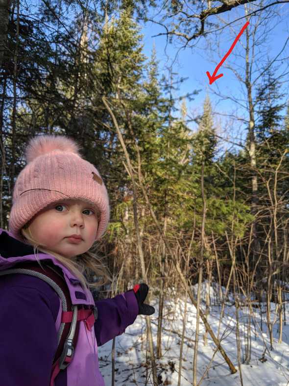 Emma scoping the tree