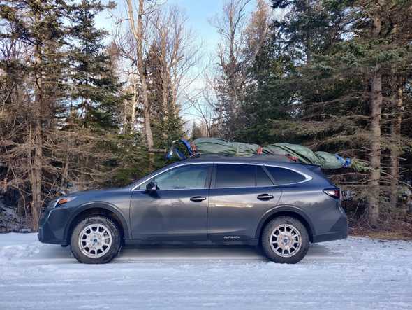 Tree on car